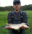 brochet 53cm